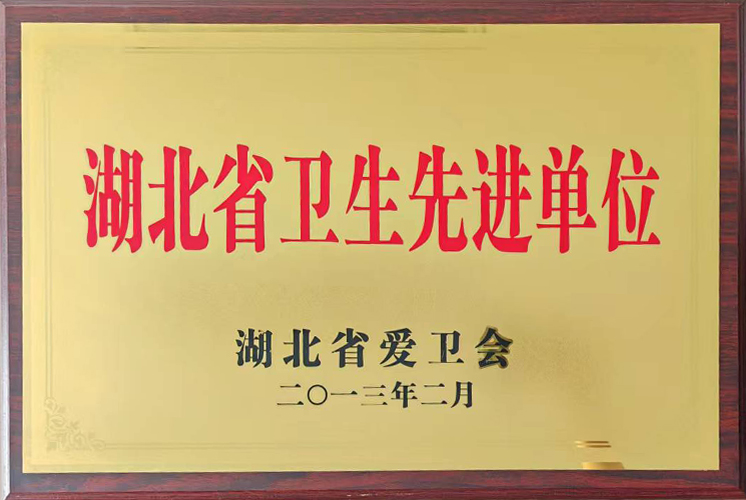 湖北省卫生先进单位
