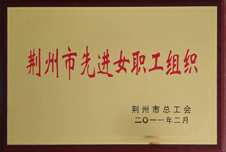荆州市先进女职工组织