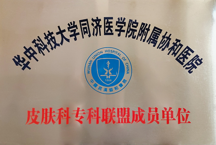 皮肤病专科联盟成员单位